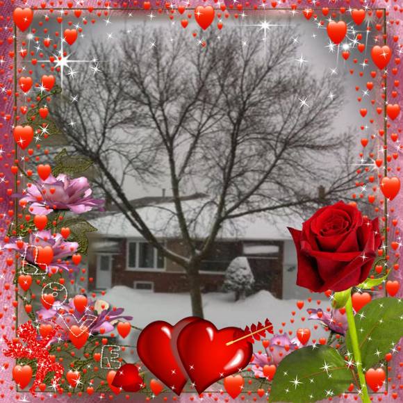 samina_shan